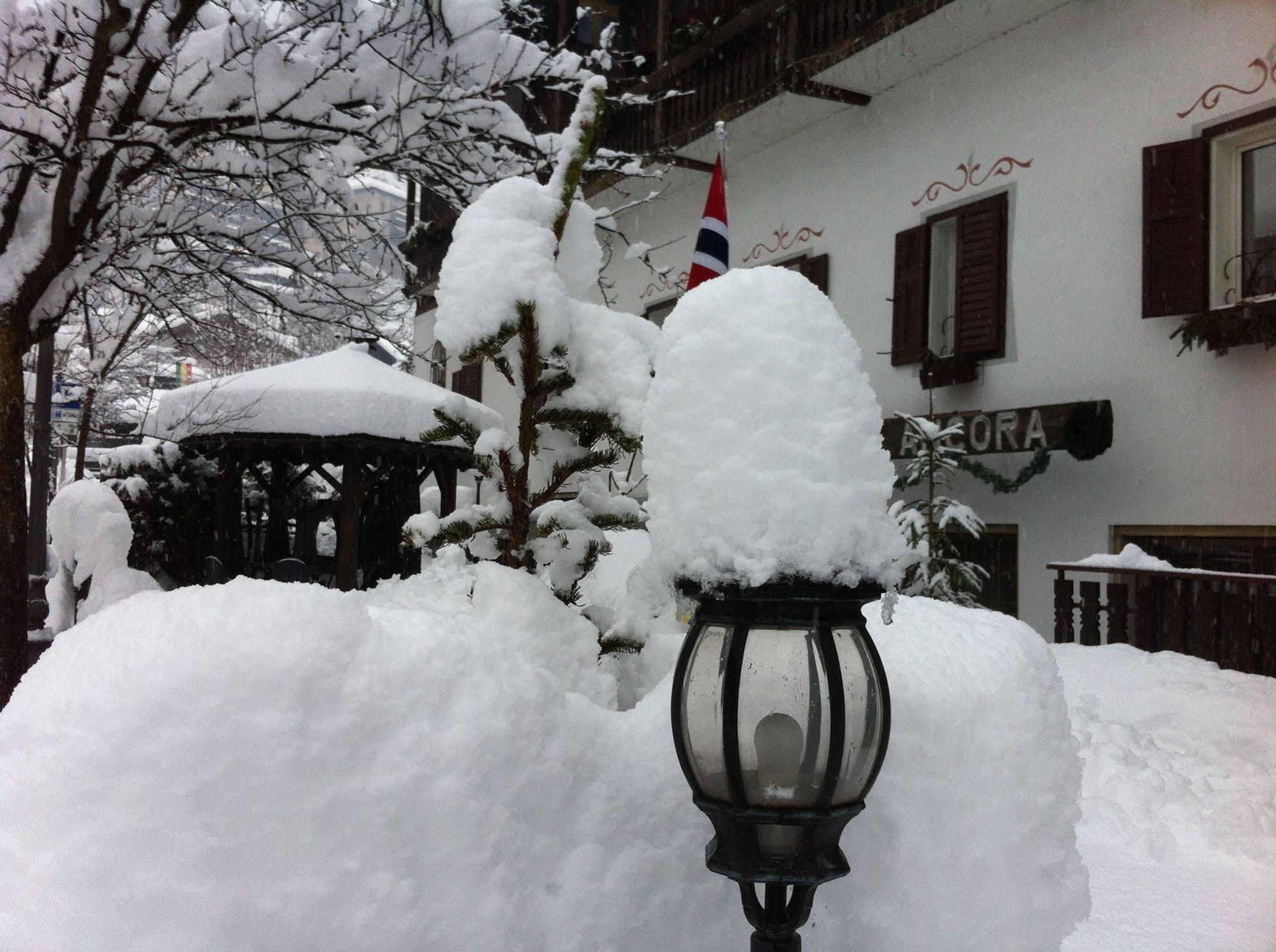 Hotel Ancora Castello-Molina di Fiemme Eksteriør bilde